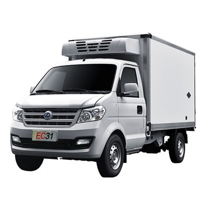 DFSK EC31 Truk Freezer Kecil